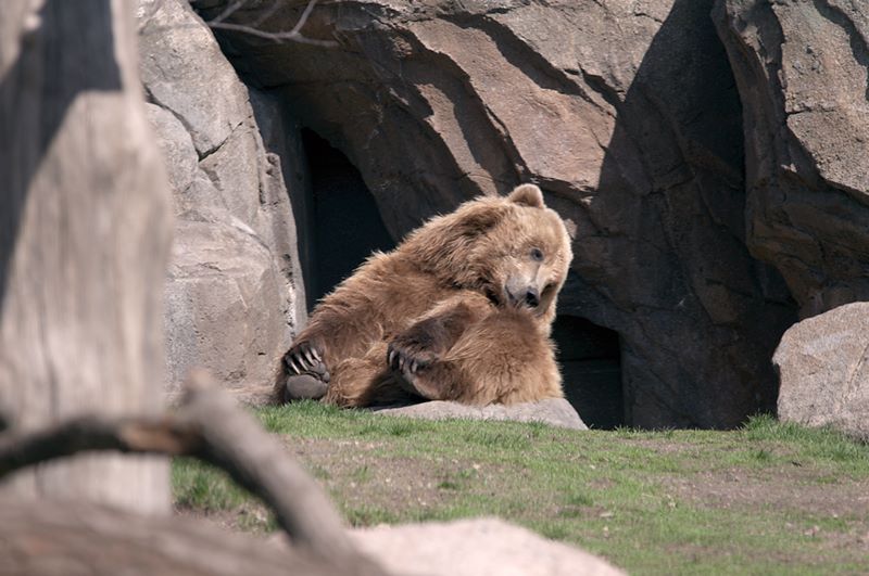 ddb 20120325 010-011