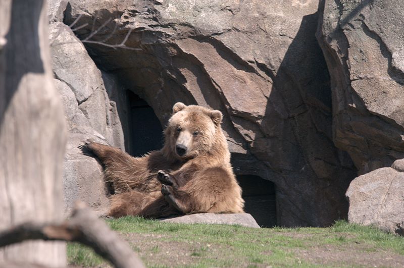 ddb 20120325 010-013