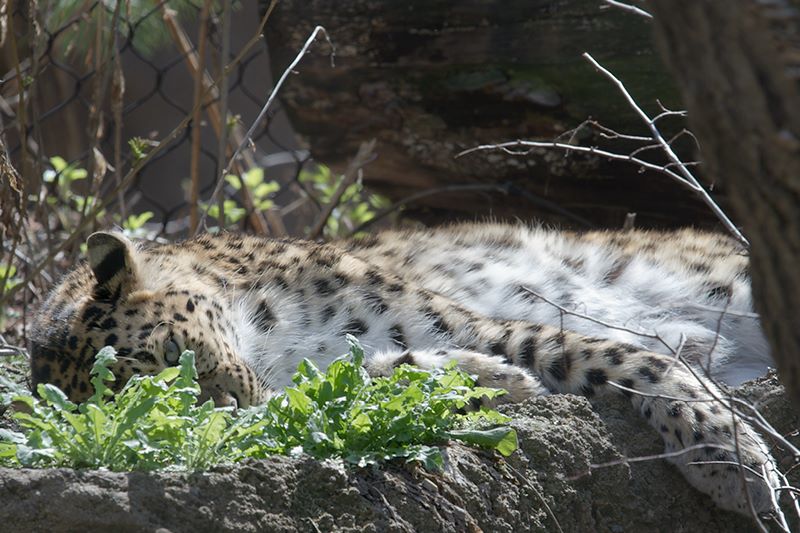 ddb 20120325 010-030