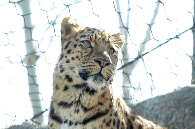 ddb 20120325 010-070