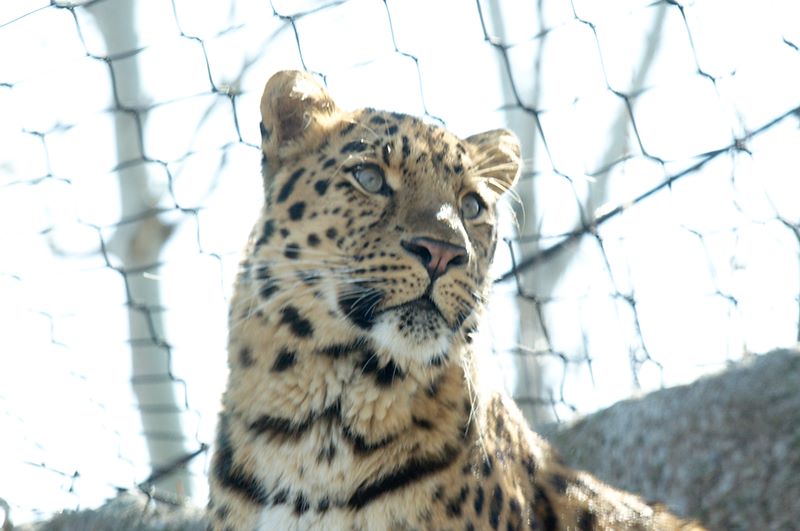 ddb 20120325 010-071