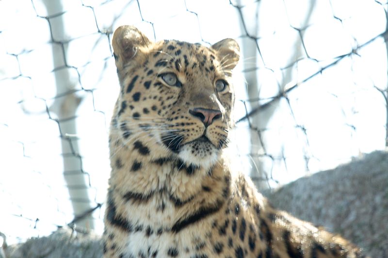 ddb 20120325 010-073