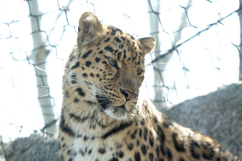 ddb 20120325 010-075