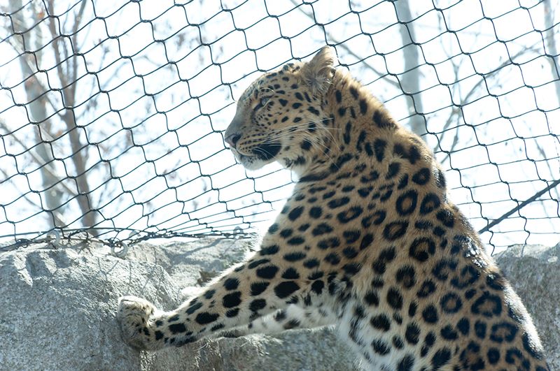 ddb 20120325 010-092