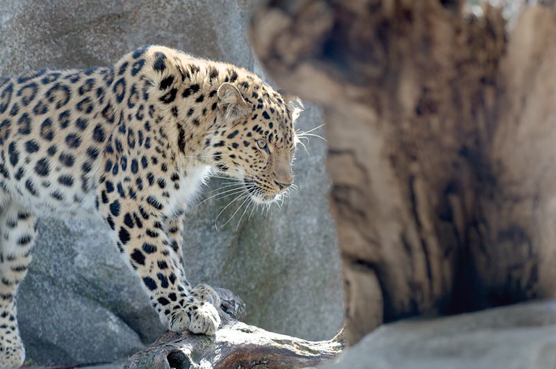 ddb 20120325 010-099