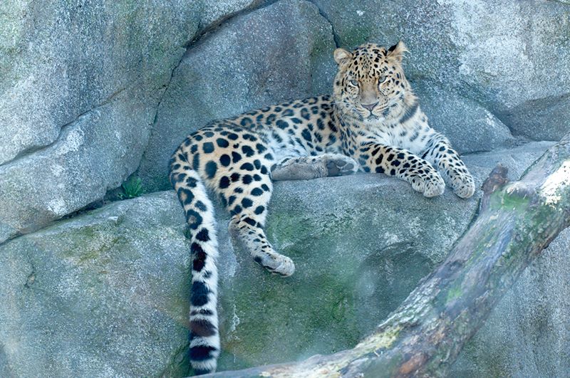 ddb 20120325 010-114