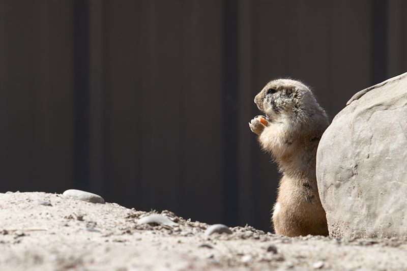 ddb 20120325 010-143