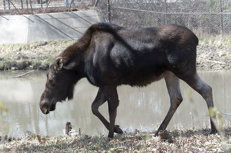 ddb 20120325 010-168