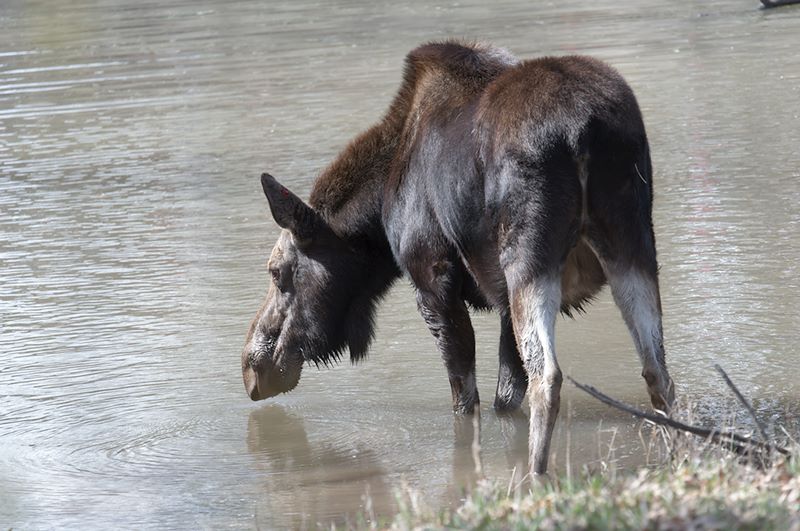 ddb 20120325 010-172