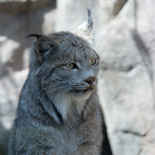 ddb 20120325 010-179