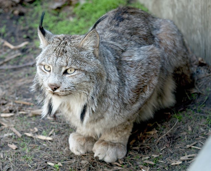 ddb 20120325 010-183