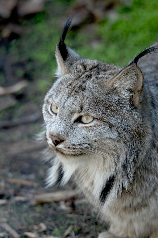 ddb 20120325 010-186