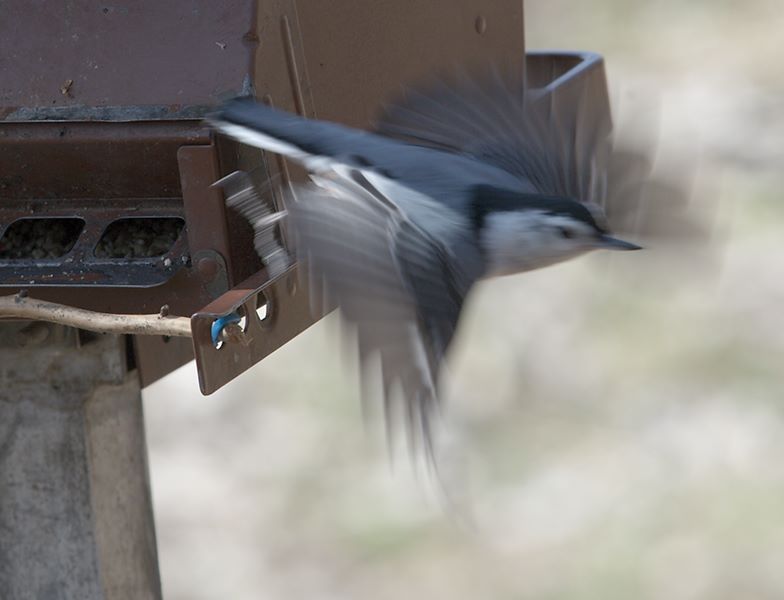 ddb 20120325 010-255