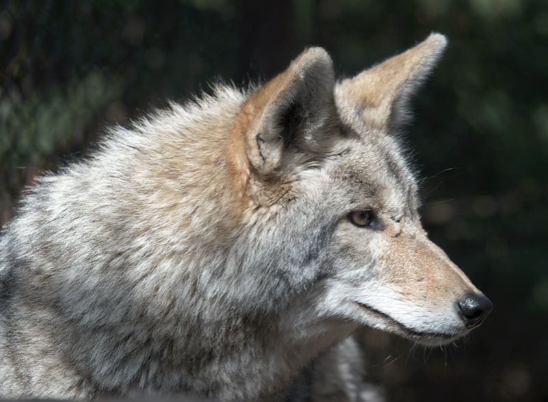 ddb 20120325 010-269