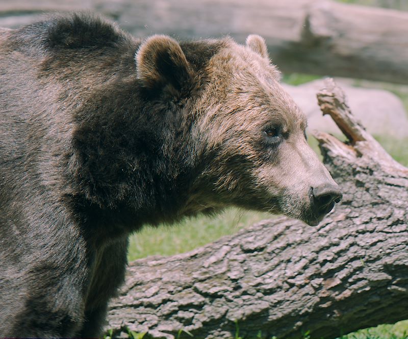 ddb 20120531 010-137