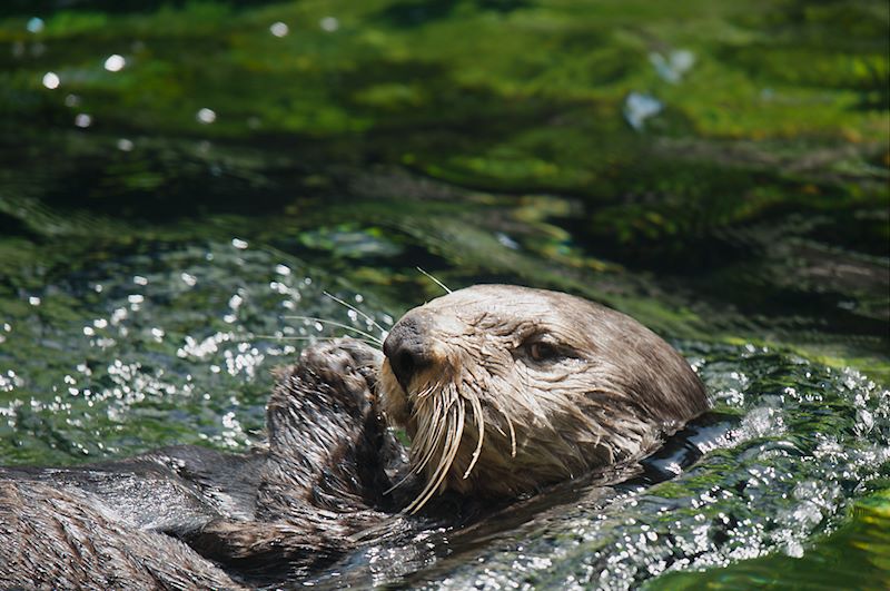 ddb 20120531 010-161