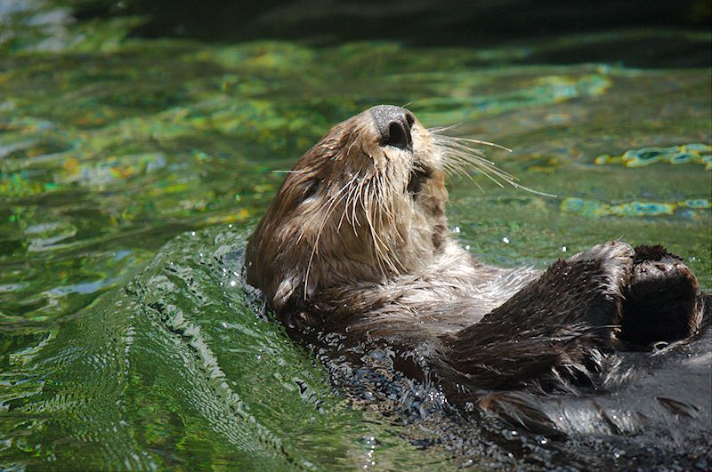 ddb 20120531 010-166