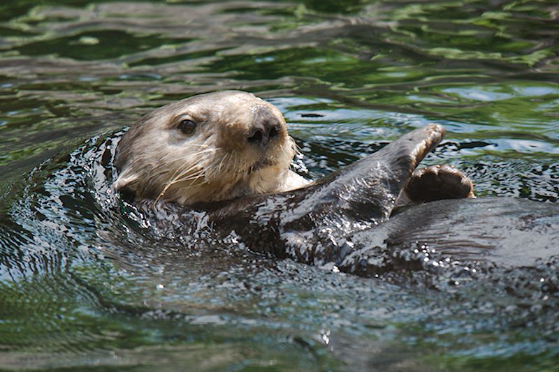 ddb 20120531 010-185