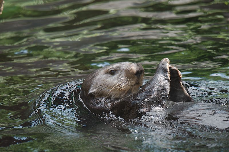 ddb 20120531 010-186