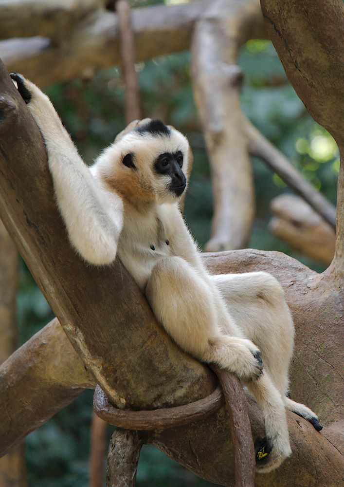 ddb 20120531 010-363