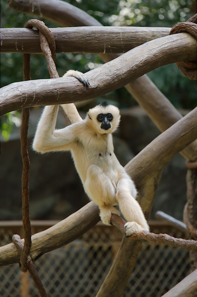 ddb 20120531 010-385