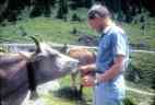 John and a Swiss cow