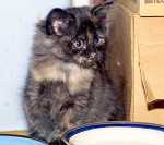 Food *and* water? Wow!