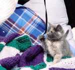 Ribbons aren't bad, either