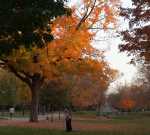 Ctein photographing fall foliage at Carleton College